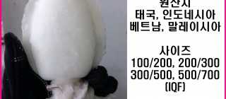 갑오징어 홀클린 전사이즈 (태국, 베트남, 인도네시아, 말레이시아)