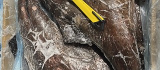 남아공아귀(선동) M (2/3KG)