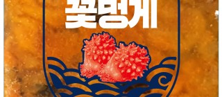 통영 멍게(우렁쉥이)