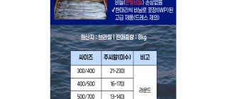 ☆[입고완료]특AA급 브라질 선망 갈치☆